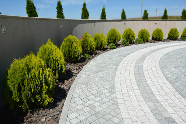 Best Affordable Driveway Pavers  in Westwood, MI